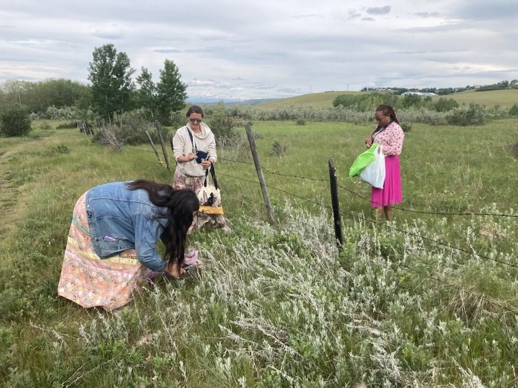 ReconciliACTION - From Awareness to Action grass picking