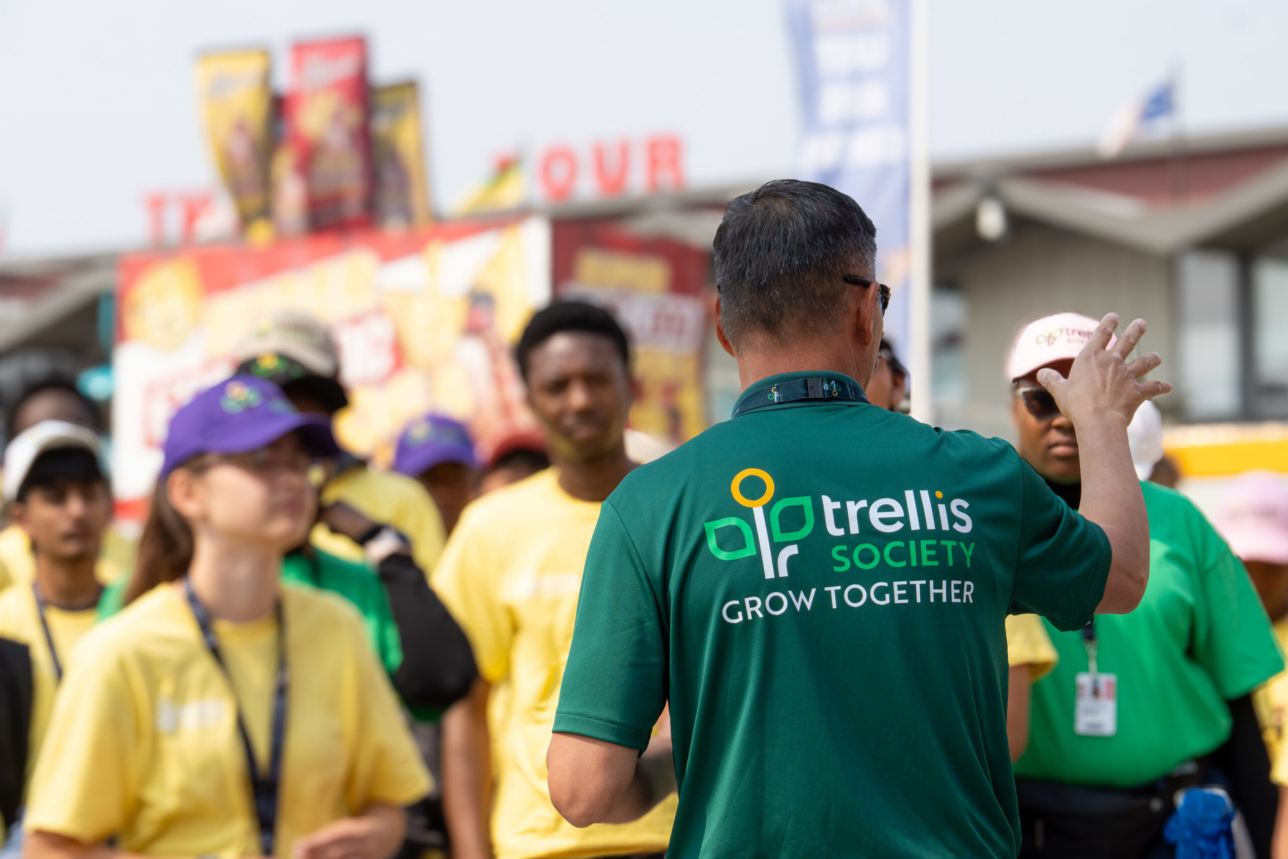 Trellis Stampede Work Experience